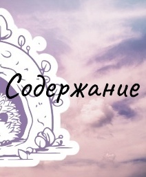 Содержание ежей